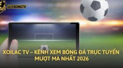 Xoilac TV – Kênh Xem Bóng Đá Trực Tuyến Mượt Mà Nhất 2026